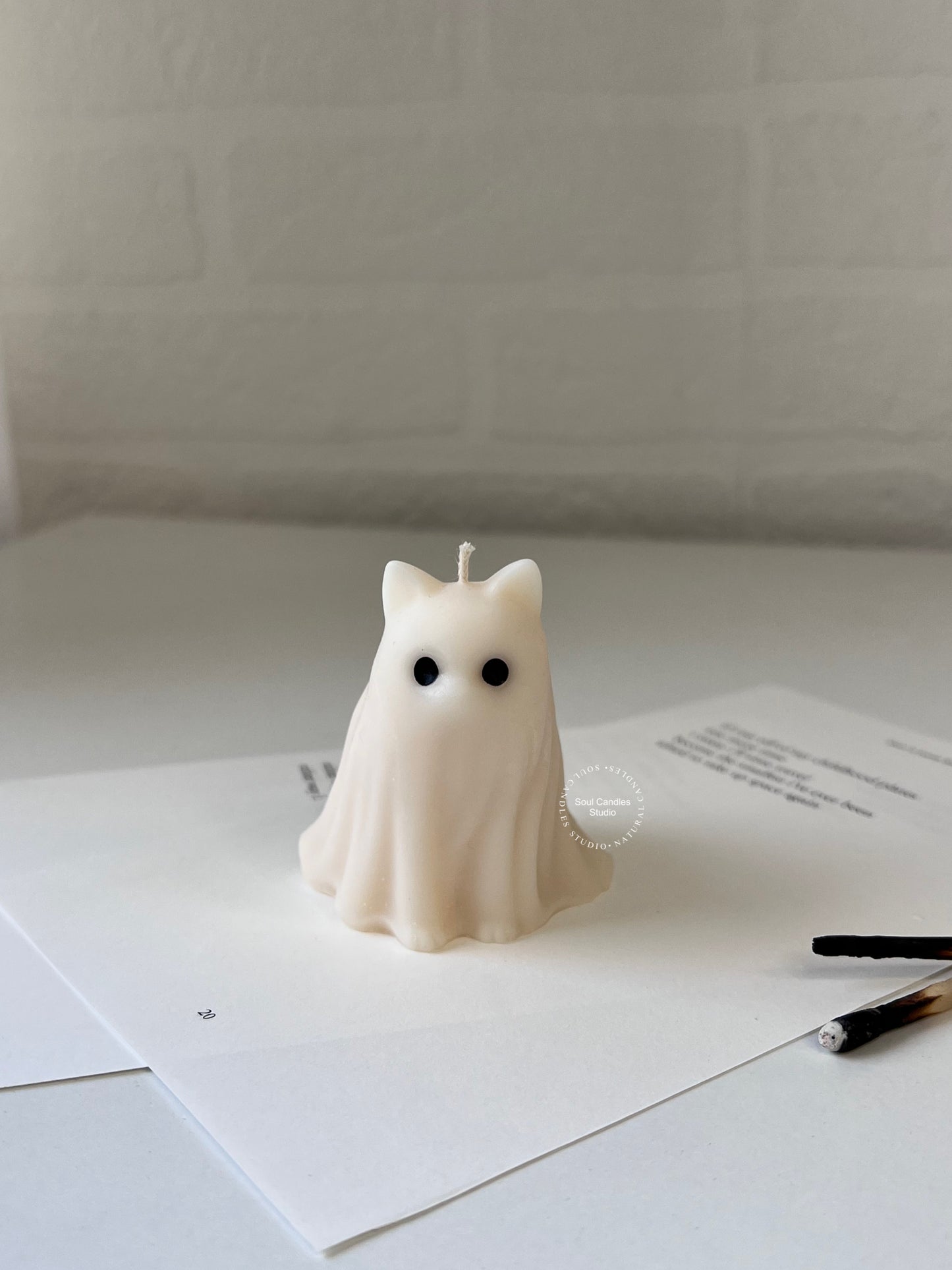 Ghost Costume Pets