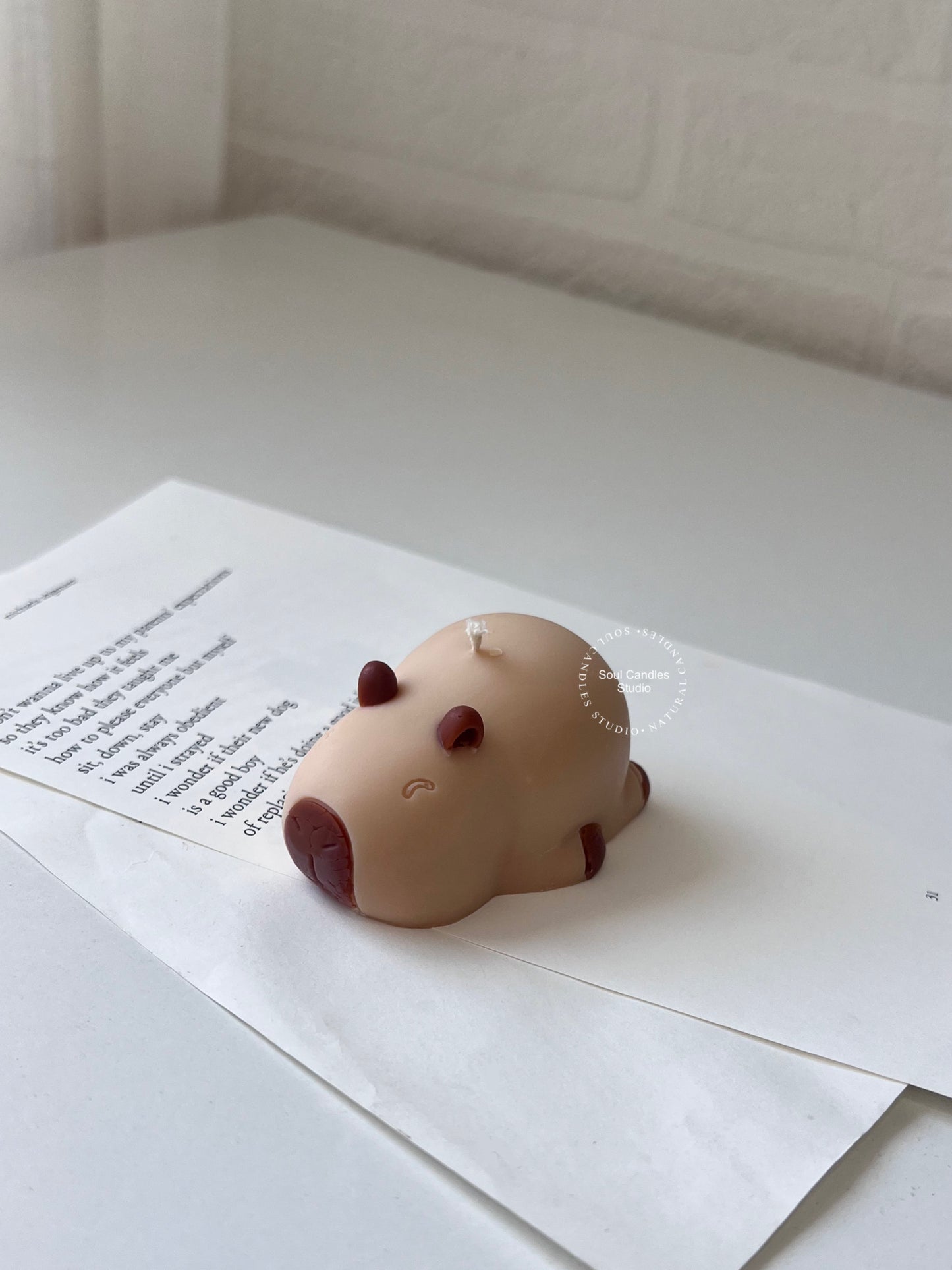 Capybara Kerze