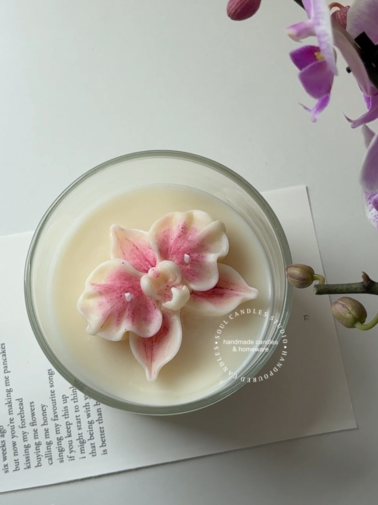 The Orchid