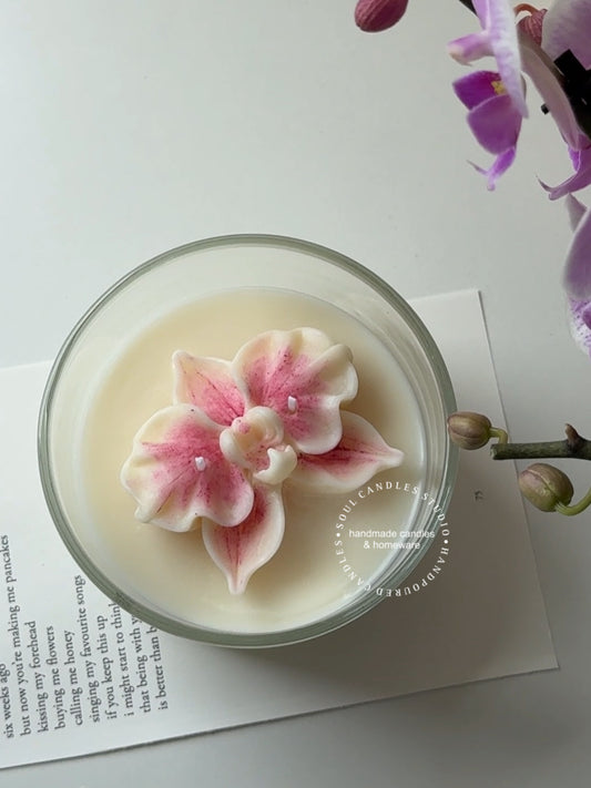 The Orchid
